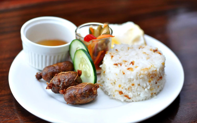 Vigan Plaza Hotel