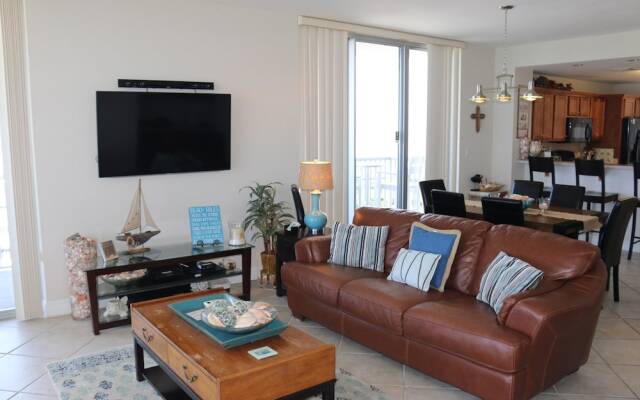 Emerald Dolphin by Surfside VR