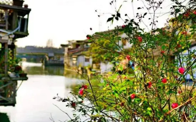 Shanghai Jiaoli Xiaoyan Inn (Zhujiajiao Scenic Area Ancient Town)