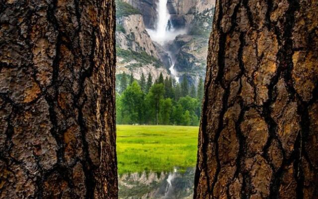 Yosemite Valley Lodge