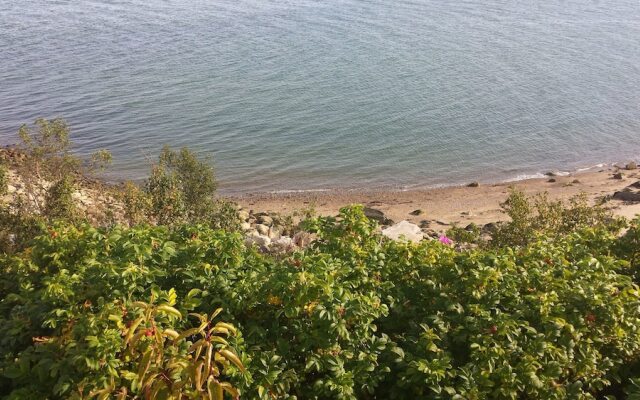 Motel Les Chalets Bo-Fleuve