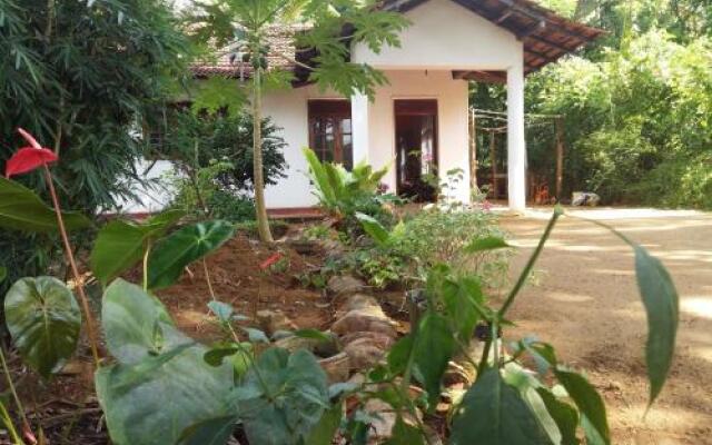 Pinnawala home stay
