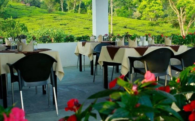 Gruenberg Tea Plantation Haus