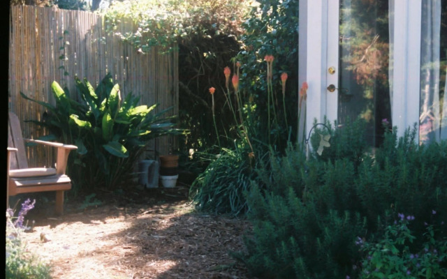 Dreydon House B&B