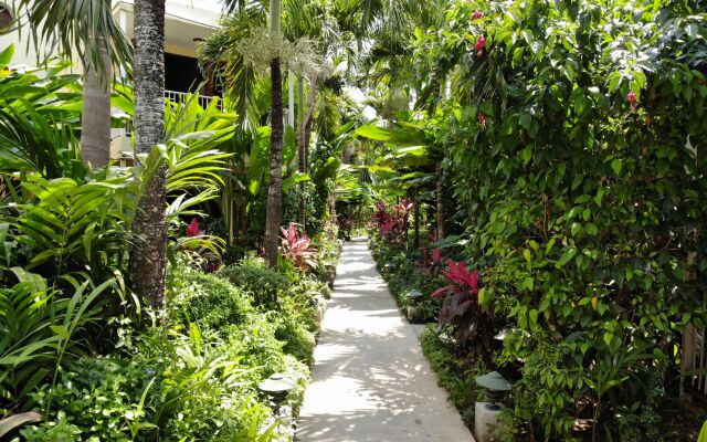 Negril Palms