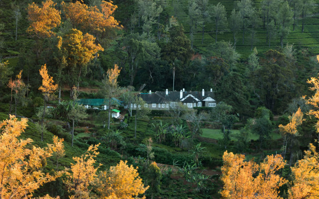 Scottish Planter Glendevon Bungalow