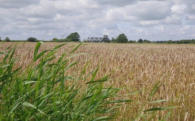 Ferienwohnung Vogelsang