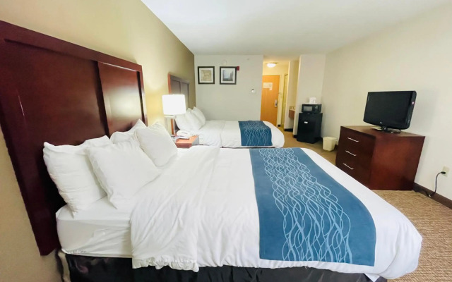 Comfort Inn Downtown - University Area