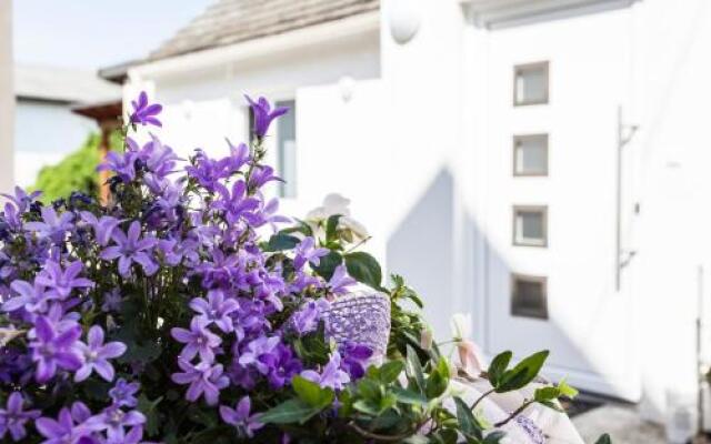 Zehentner - Wein & Feriendomizil