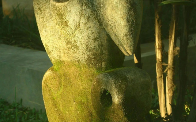 Uma Karan