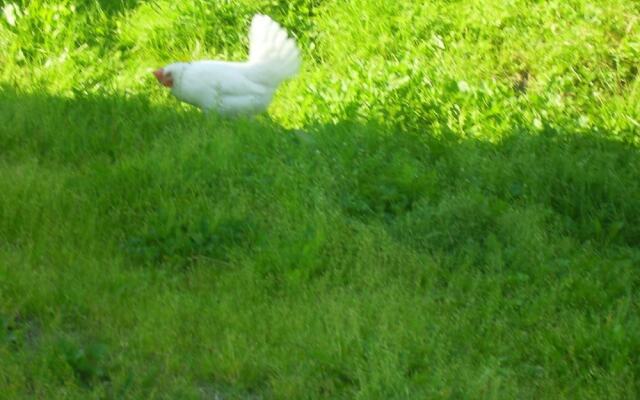 Täljegården Lantgårdshotell