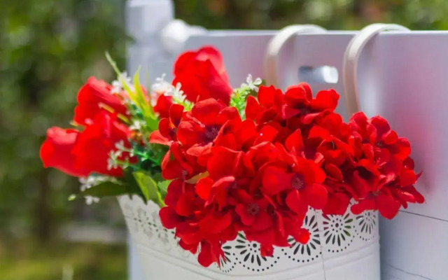 Отель Trees Art Boutique