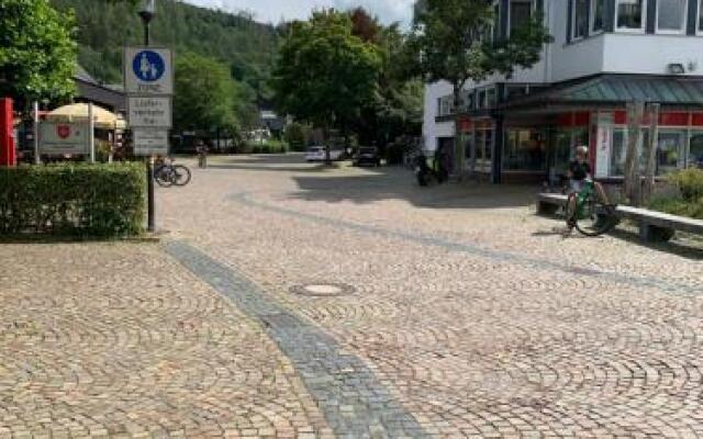 Hotel Wittgensteiner-Hof