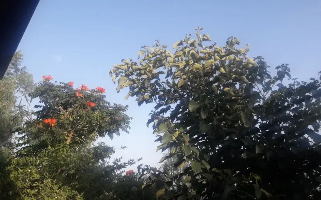 Budget Ethiopia Tours and Homestay