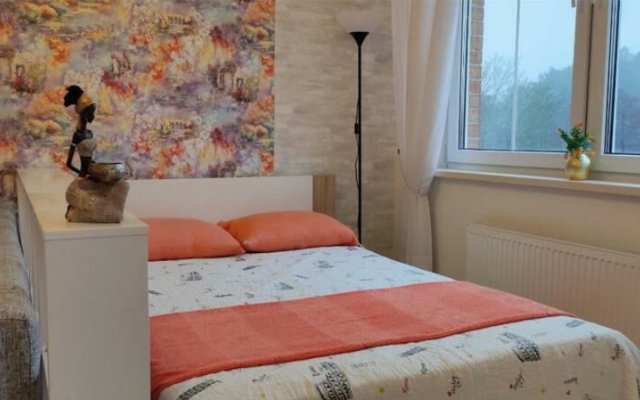 Apartaments NEW LIFE on Kaliningradsky ave., 71
