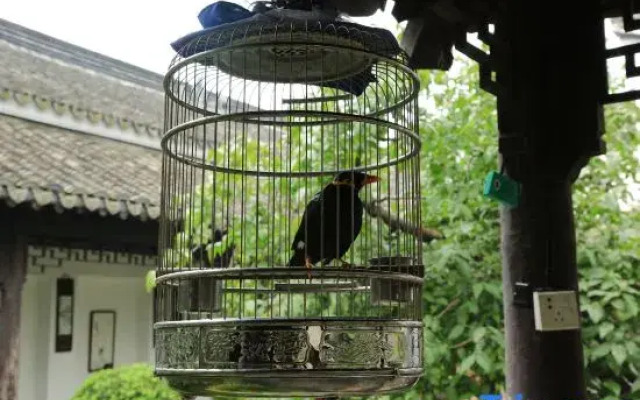 The Fallen Flower Old House - Luxurious Garden Suites in Jiangnan Courtyard Style