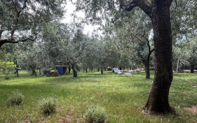 Casa Oliva Kim Marie