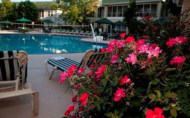 Palace View Resort by Spinnaker Resorts