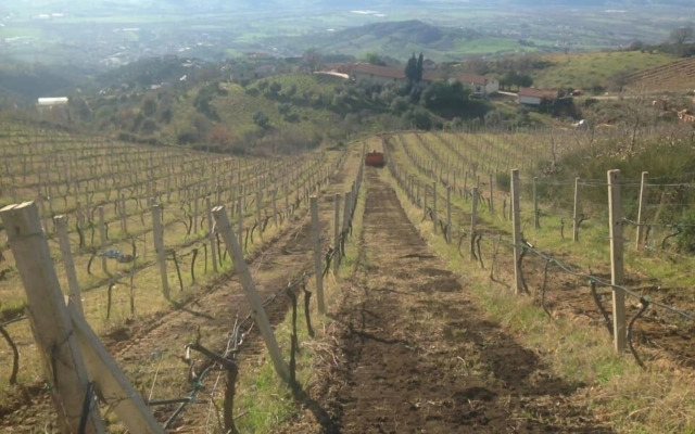 Agriturismo Pingitore