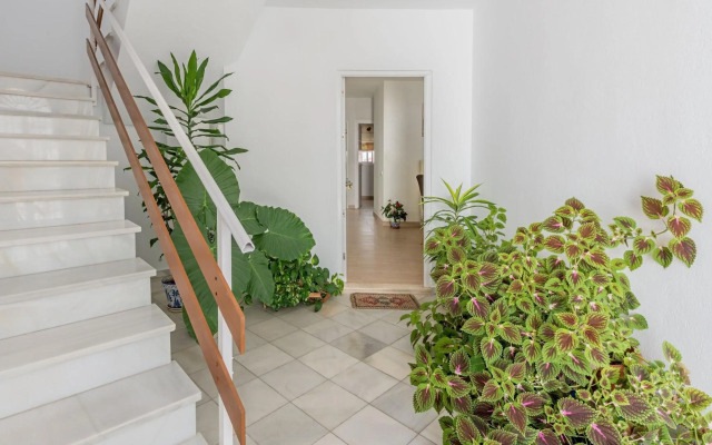 Casa Los Naranjos en Vejer