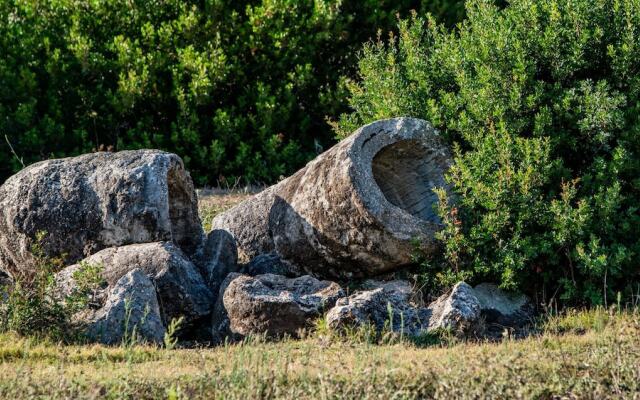 Agriturismo Carrucana