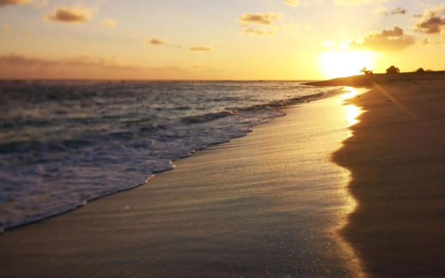 Surf Rote @ Boa Hills Surf House