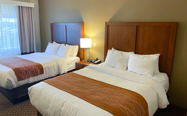 Comfort Inn & Suites Midtown