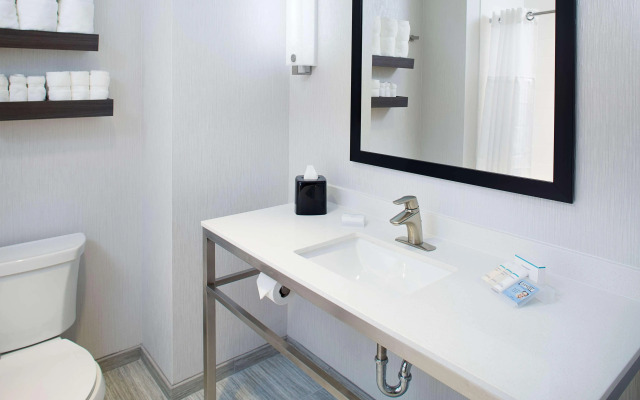 Hilton Garden Inn Dallas/arlington South