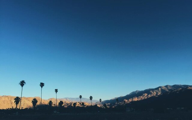 Dive Palm Springs