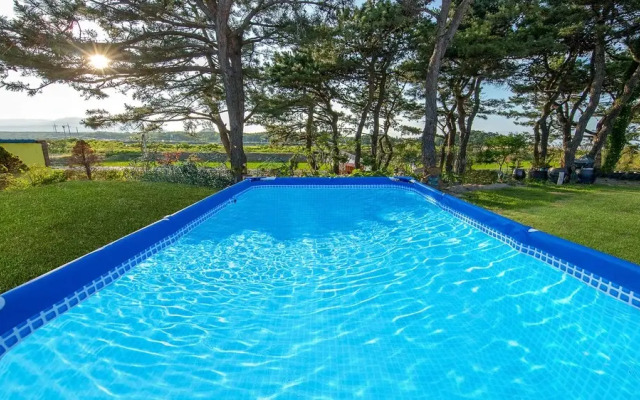 Christmaspension Pet Pension