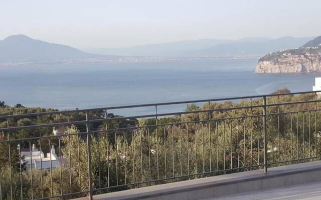 Sorrento Olive Tree Garden