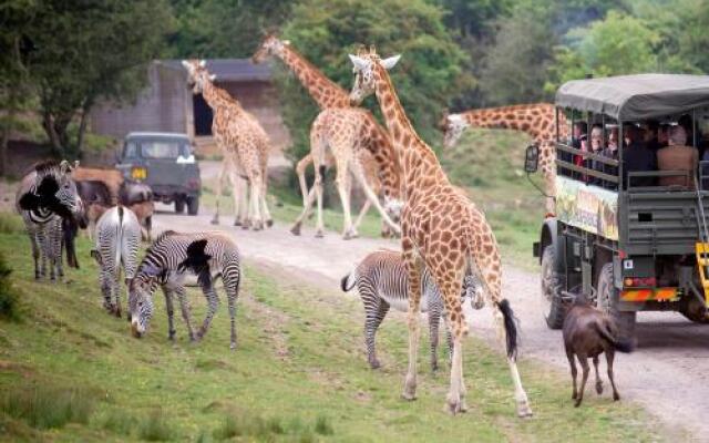 Port Lympne Reserve - Livingstone Lodge