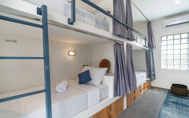 Seaesta Komodo Hotel & Hostel