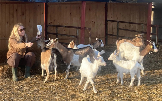 Azienda Agricola I Casali del Troscio