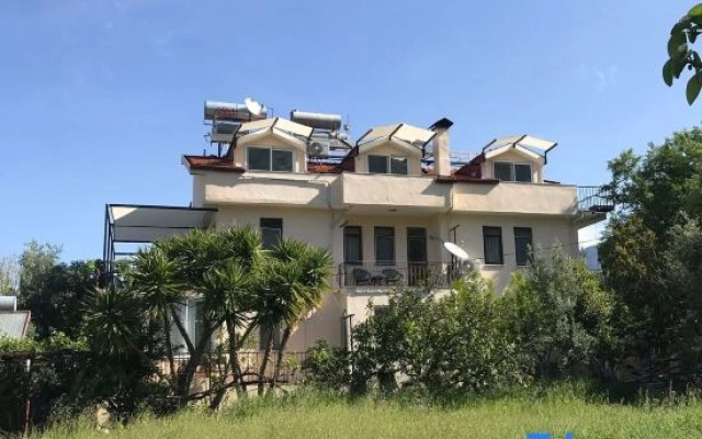 The Tulip House