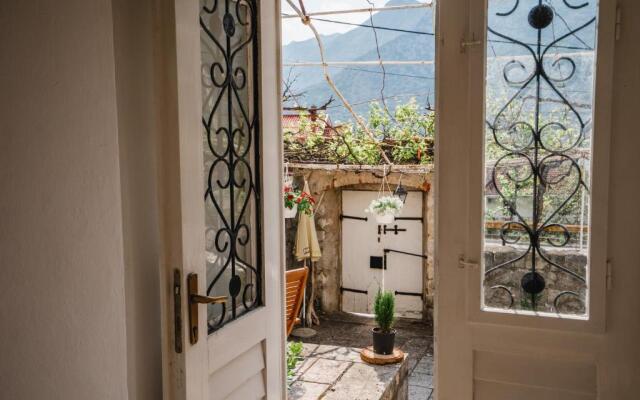 White Shutters House