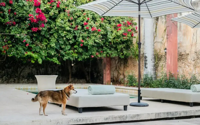 Villa Octavia