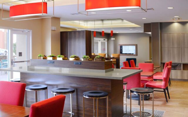 Towneplace Suites by Marriott Houston Galleria Area