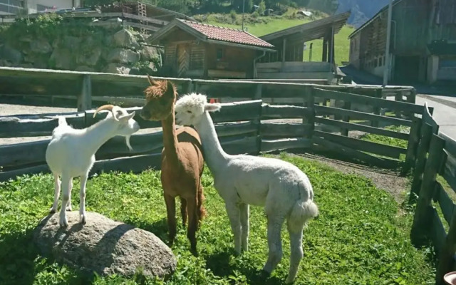 the Veitenhof Comfortable Holiday Residence