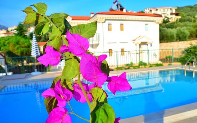 Villa Soral 2 by Akdenizvillam