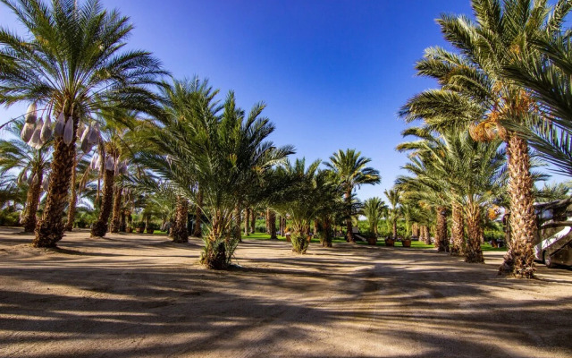 Festival Campgrounds Rancho 51