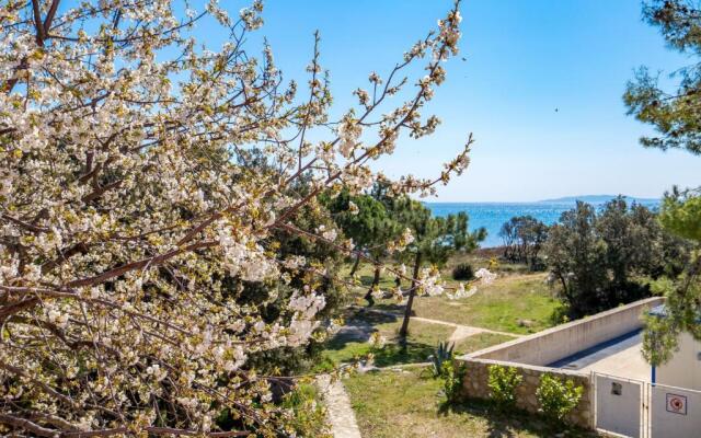 Apartment in pinewood near the sea