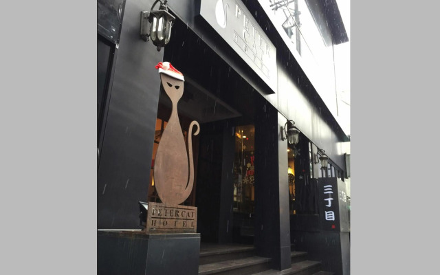 Petercat Hotel Sinchon Hongdae