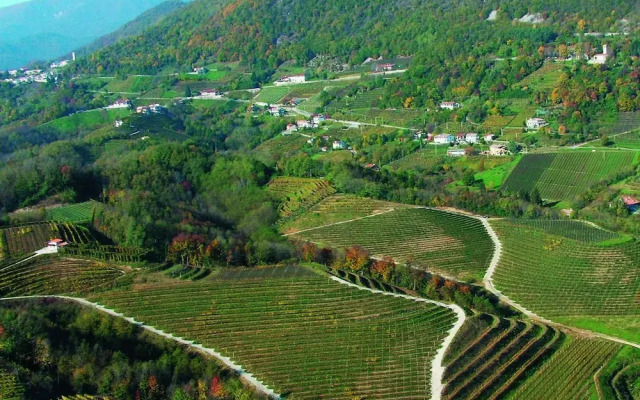 Agriturismo I Comelli