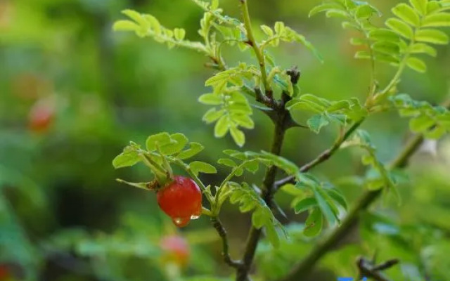 Sheepfold Bed & Breakfast
