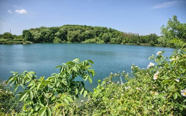 Dresdner-Tag Rosenherz