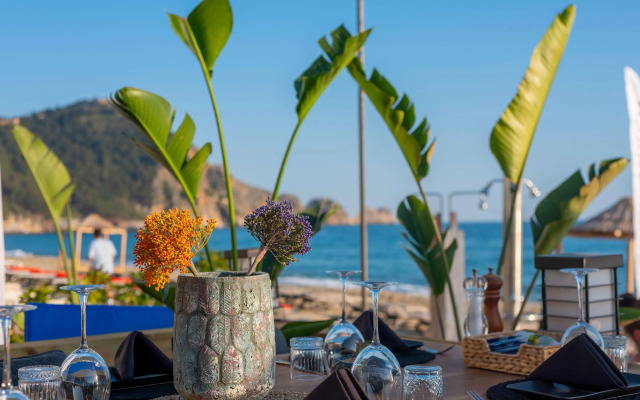 Royalisa Palmiye Beach +16 Adult Only