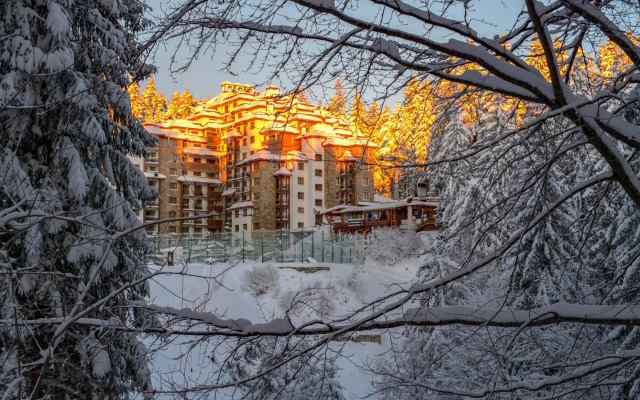 Kamelia Complex