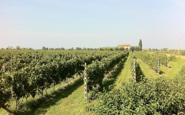 CASCINA TABACHERA x10 Vineyard House - GARDA LAKE