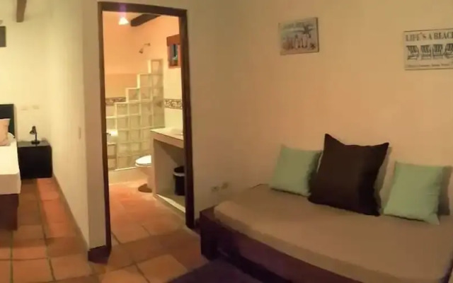 Coco Flat Santa Teresa